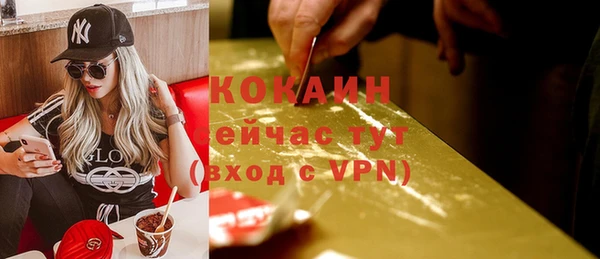 прущий лед Вяземский
