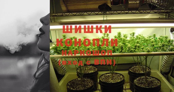 дживик Богданович