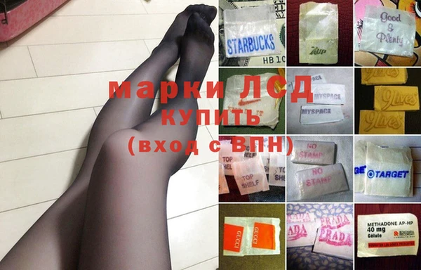 дживик Богданович