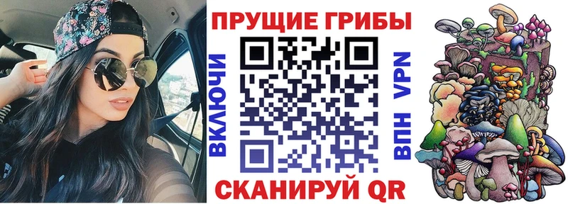Псилоцибиновые грибы мицелий  где продают   Вятские Поляны 